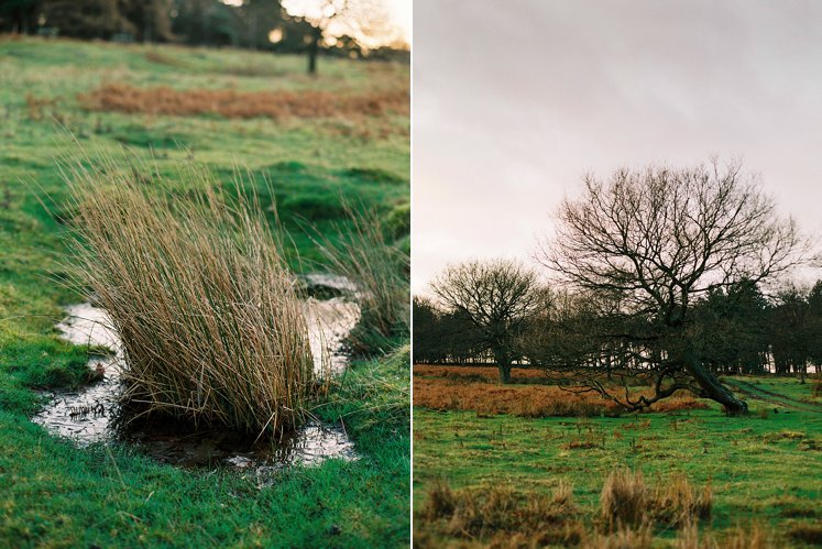 Longshaw Estate Derbyshire Peak District_0031