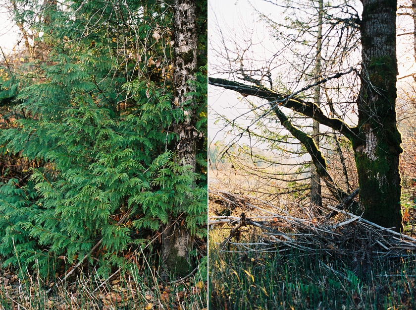 Hope BC film photographer Canon AE1_0018